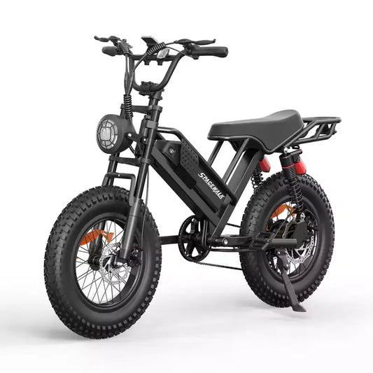 Eilleo 20 Fat Tire E-Bike Motore da 750W (920W di picco), 40 km/h, autonomia 80-110 km, batteria 48V 15.6Ah, doppia sospensione, Shimano 7 velocità